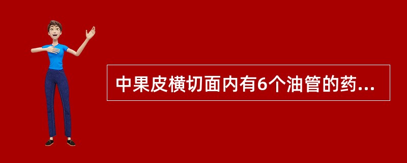 中果皮横切面内有6个油管的药材是（）