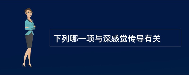 下列哪一项与深感觉传导有关