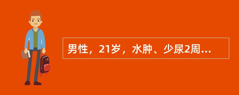 男性，21岁，水肿、少尿2周入院，血压120／70mmHg，尿蛋白(++++)，红细胞(++)，尿素氮8mmol／L，血肌酐47μmol／L<br /><br />为临床诊断，