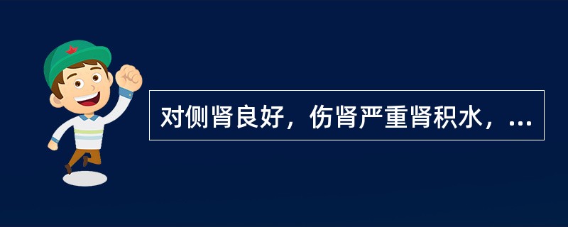 对侧肾良好，伤肾严重肾积水，可施行()