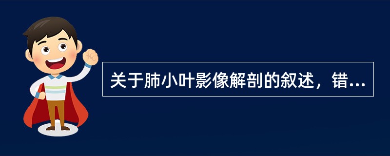 关于肺小叶影像解剖的叙述，错误的是（）