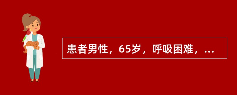 患者男性，65岁，呼吸困难，心前区不适；查体有奇脉、颈静脉怒张；听诊心音遥远；X线示心影增大呈“烧瓶”状；超声提示心包积液<br />若出现心脏摆动征，心包腔内无回声区宽度应为（）
