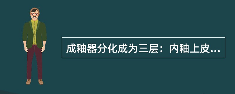 成釉器分化成为三层：内釉上皮、外釉上皮、星网状层，应为( )