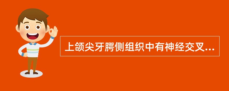 上颌尖牙腭侧组织中有神经交叉或吻合的是( )。