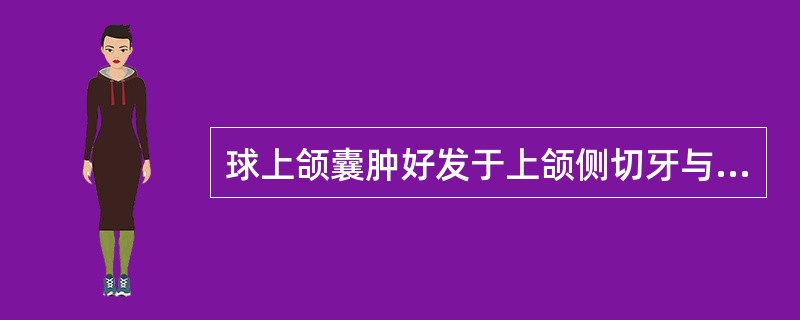 球上颌囊肿好发于上颌侧切牙与尖牙之间。( )