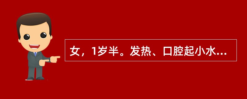 女，1岁半。发热、口腔起小水疱2天。2天前患儿发热、烦躁、夜间啼哭，昨日拒食、流涎，今晨患儿口内黏膜上有小水疱，立即来院就诊。检查：体温38℃，双颊、舌、牙龈黏膜充血水肿，有成簇的小水疱，透明，少数水