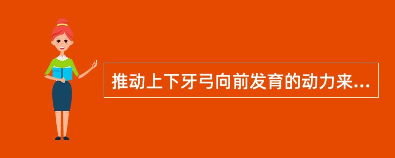 推动上下牙弓向前发育的动力来自( )。