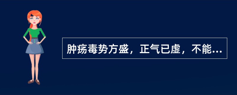 肿疡毒势方盛，正气已虚，不能托毒外出者，内治方药宜选用（）