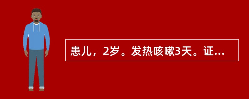 患儿，2岁。发热咳嗽3天。证见发热，无汗，呛咳不爽，呼吸气急，痰声重浊，咽不红，舌淡红，苔薄白，指纹浮红。其证候是（）