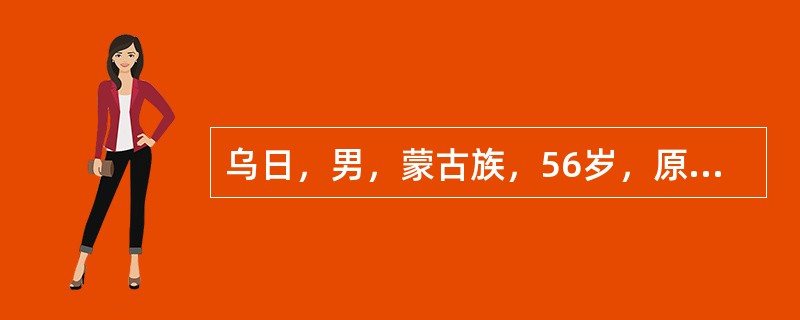 乌日，男，蒙古族，56岁，原任内蒙古自治区某研究所所长。2005年，乌日多次利用职务之便，将掌握的国家秘密文件非法倒卖给境外组织，情节较轻。<br />下列关于办理本案的司法机关，说法正确