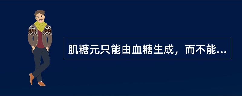 肌糖元只能由血糖生成，而不能分解成血糖()