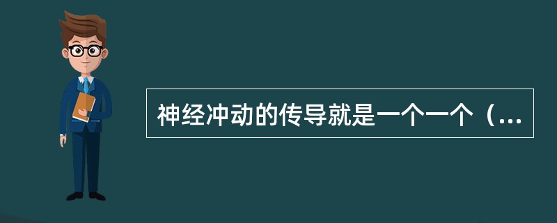 神经冲动的传导就是一个一个（）的传播。