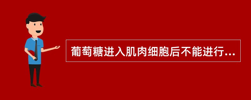 葡萄糖进入肌肉细胞后不能进行的代谢是（）。