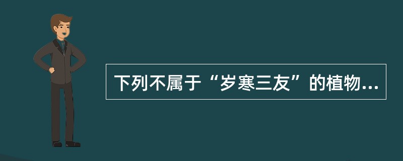 下列不属于“岁寒三友”的植物是（）。