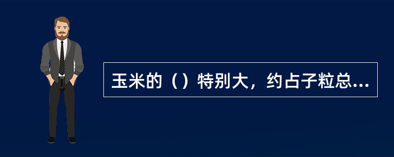 玉米的（）特别大，约占子粒总体积的30%。