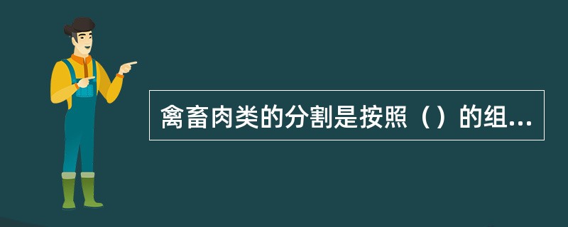 禽畜肉类的分割是按照（）的组织结构进行的。