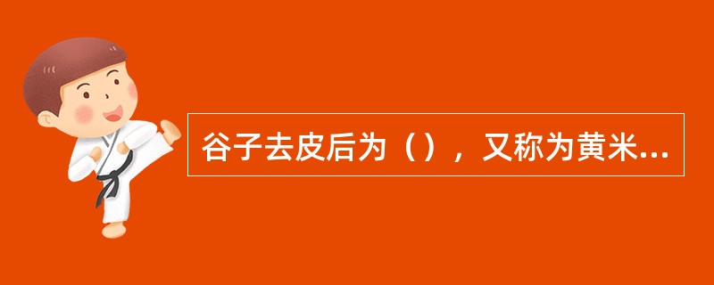 谷子去皮后为（），又称为黄米、粟米。