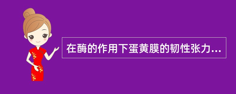 在酶的作用下蛋黄膜的韧性张力减弱形成散黄蛋。（）