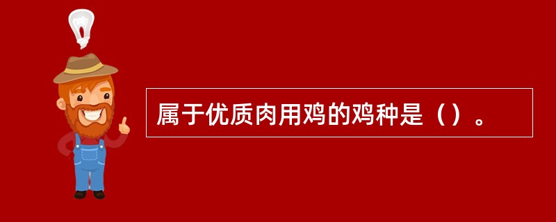 属于优质肉用鸡的鸡种是（）。