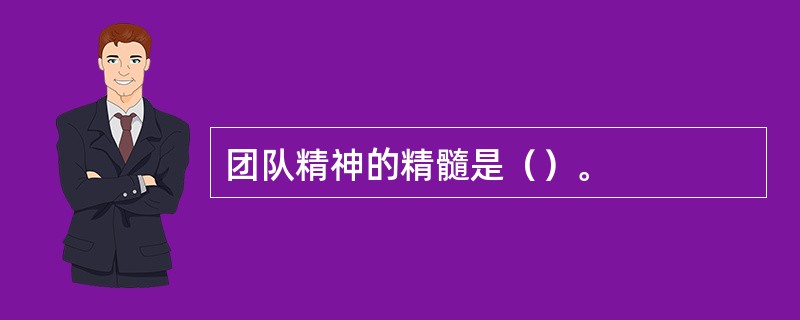 团队精神的精髓是（）。