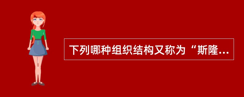 下列哪种组织结构又称为“斯隆模型”？( )