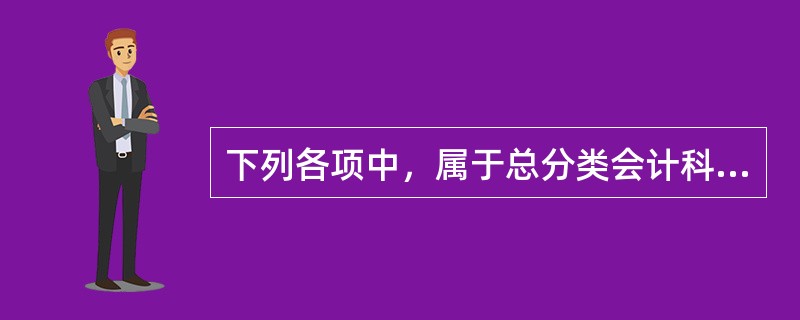 下列各项中，属于总分类会计科目的是()。