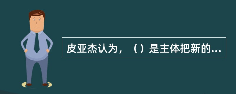 皮亚杰认为，（）是主体把新的刺激整合到原有图式中，使原有图式丰富和扩大的过程。