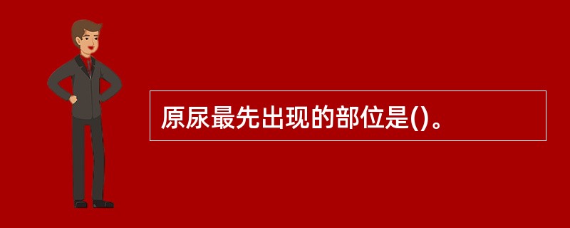 原尿最先出现的部位是()。
