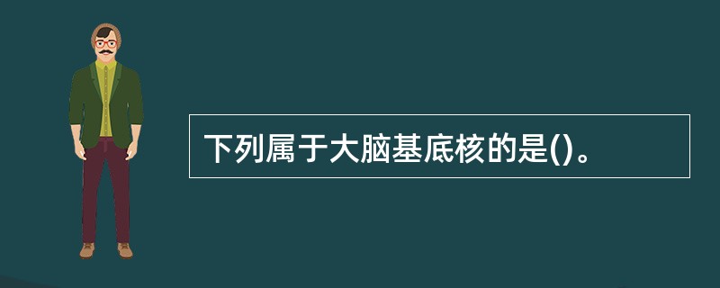 下列属于大脑基底核的是()。