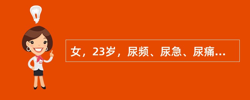 女，23岁，尿频、尿急、尿痛已2天，查尿沉渣有大量白细胞，应考虑()。