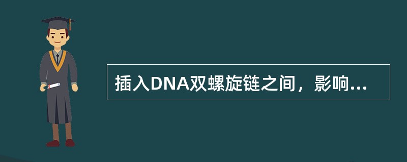 插入DNA双螺旋链之间，影响DNA复制和RNA转录的抗疟药是（）
