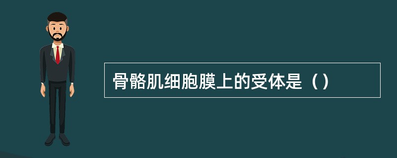 骨骼肌细胞膜上的受体是（）