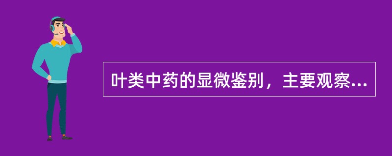 叶类中药的显微鉴别，主要观察叶的哪几部分（）