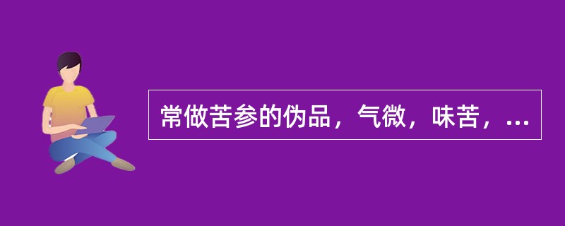 常做苦参的伪品，气微，味苦，嚼之有豆腥气的是（）