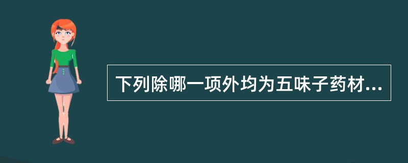 下列除哪一项外均为五味子药材的性状特征？（）