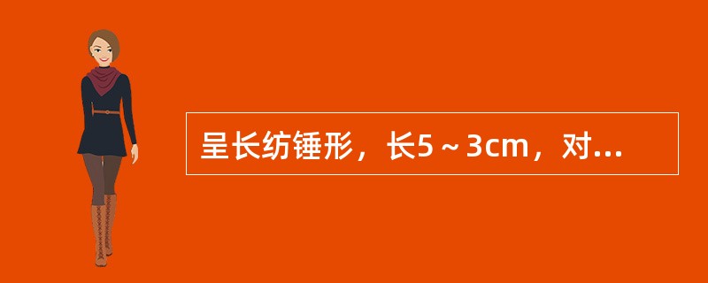 呈长纺锤形，长5～3cm，对光透视有一条不透明的木心，味甜，微苦的药材是（）