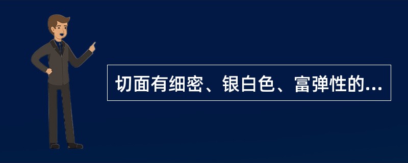 切面有细密、银白色、富弹性的橡胶丝相连，气微，味稍苦的饮片是（）