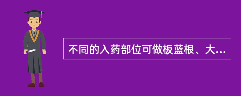 不同的入药部位可做板蓝根、大青叶、青黛的植物是（）