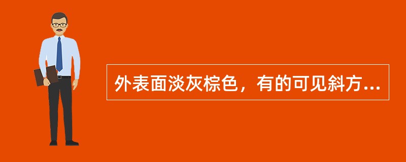 外表面淡灰棕色，有的可见斜方形皮孔，内表面紫褐色，折断时可见细密银白色富弹性胶丝的药材是（）