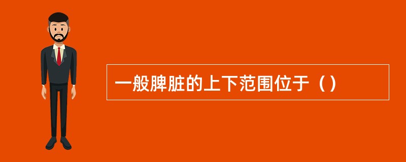 一般脾脏的上下范围位于（）