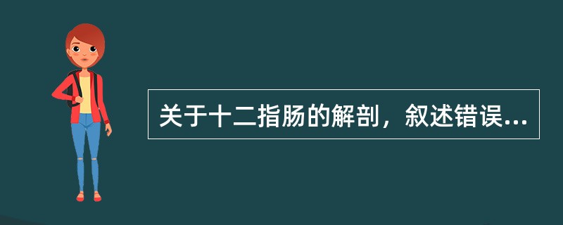 关于十二指肠的解剖，叙述错误的有（）