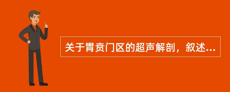 关于胃贲门区的超声解剖，叙述错误的是（）