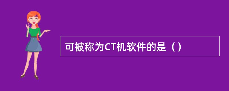 可被称为CT机软件的是（）