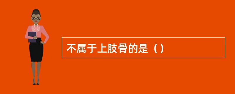 不属于上肢骨的是（）