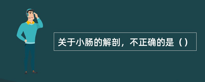 关于小肠的解剖，不正确的是（）