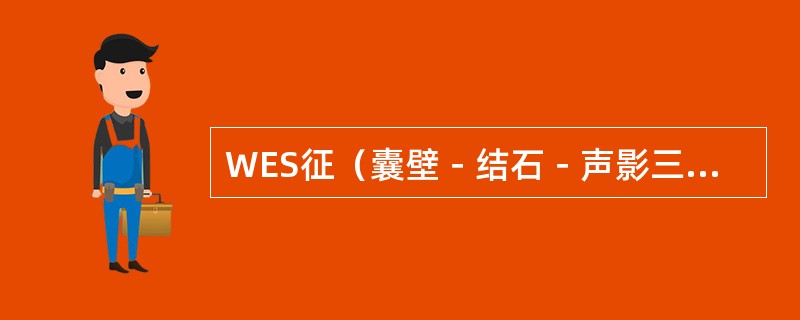 WES征（囊壁－结石－声影三联征）是指（）