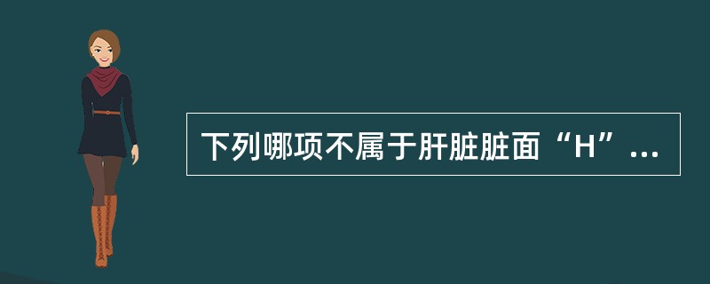下列哪项不属于肝脏脏面“H”形沟内的结构（）