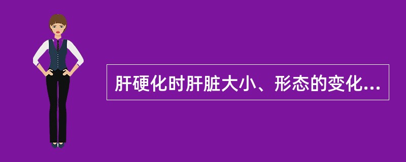 肝硬化时肝脏大小、形态的变化，下面描述错误的是（）