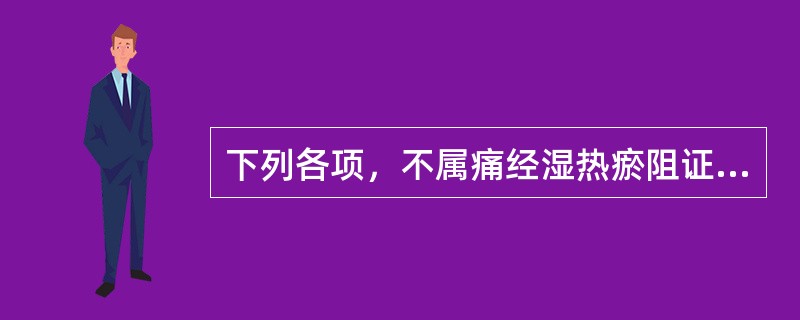 下列各项，不属痛经湿热瘀阻证临床表现的是（）