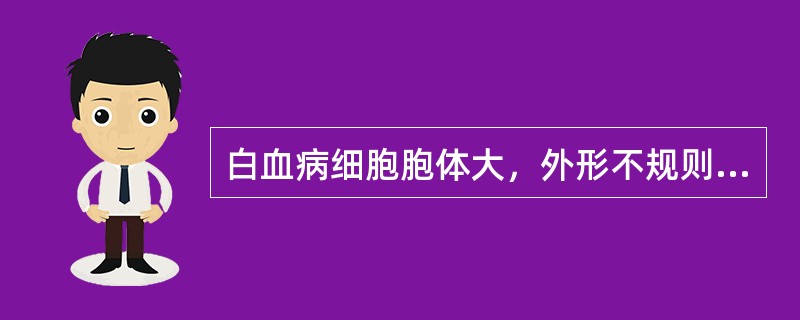 白血病细胞胞体大，外形不规则，核浆发育失衡，染色质疏松，有大而圆的核仁，胞浆丰富，呈内外浆，内浆充满颗粒，外浆较透明的形态学特征与哪一类白血病符合（）